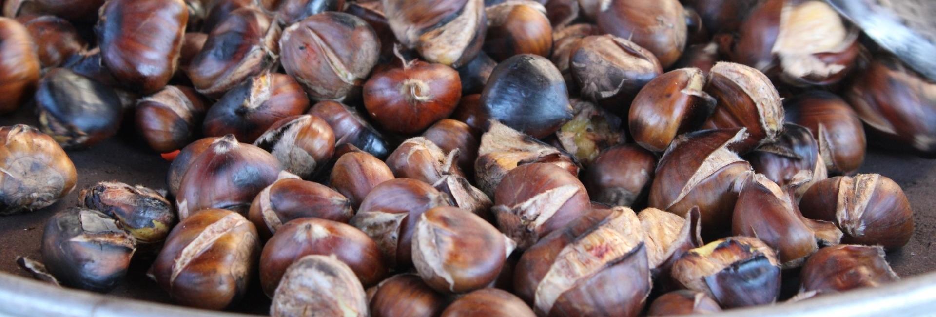 Sagra della Castagna 2025