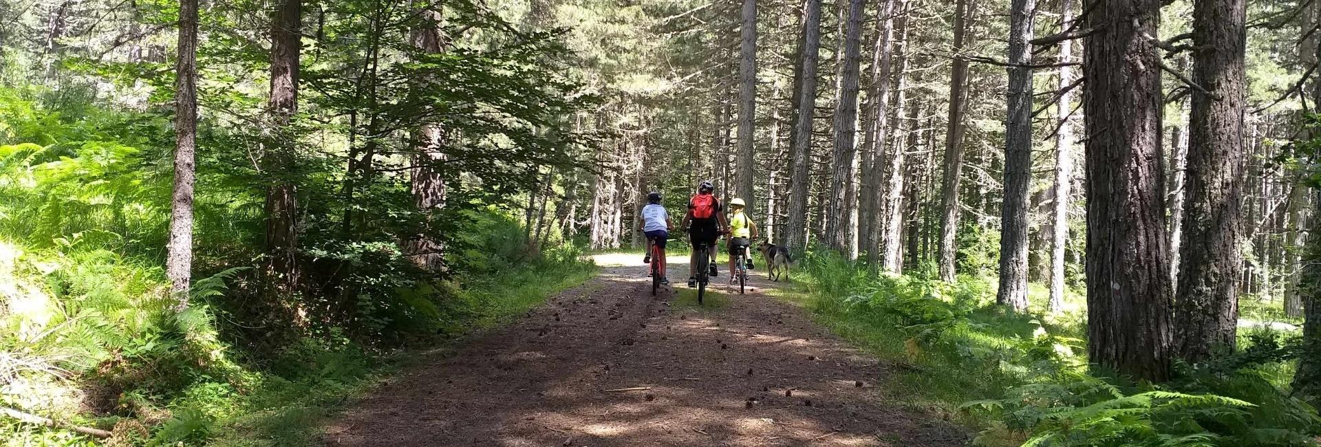 Tour Strada delle Vette