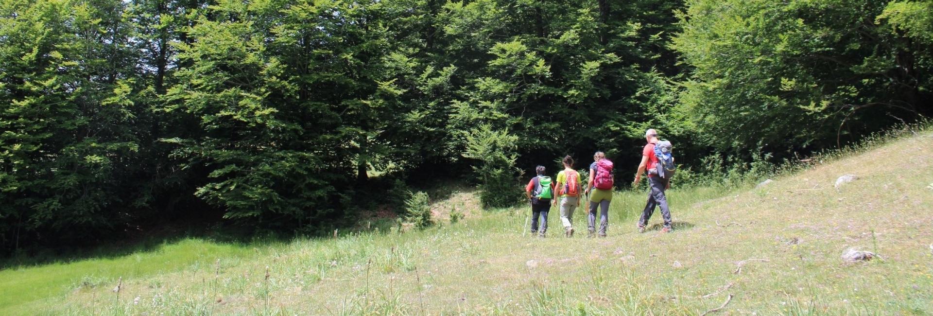 Trekking nel Parco Nazionale della Sila