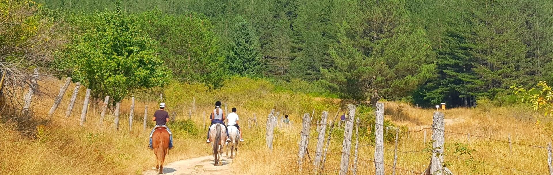 Escursione a cavallo nel Parco Nazionale della Sila