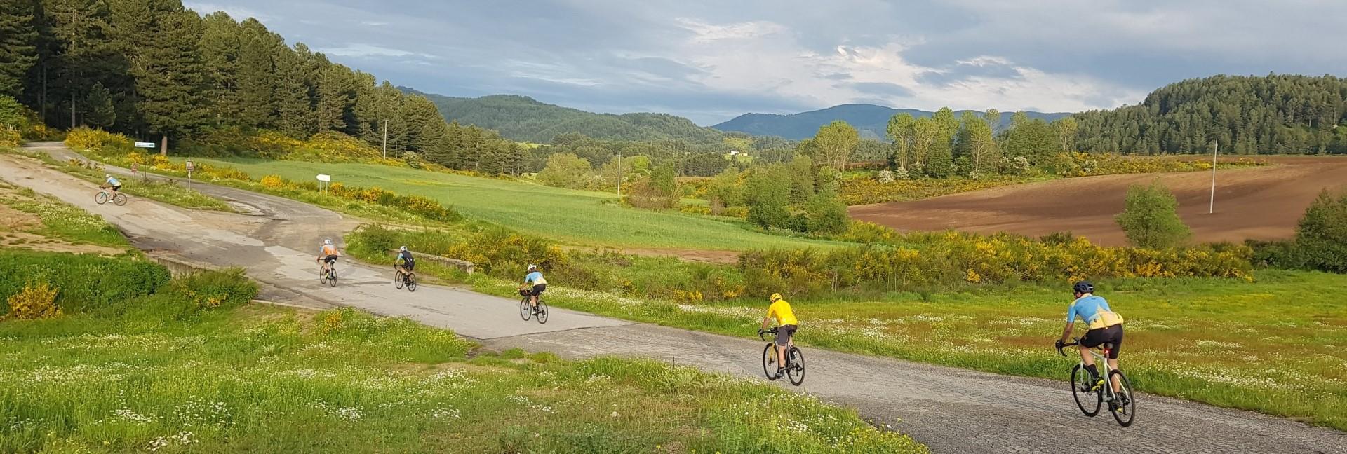 Escursione in e-bike nel Parco Nazionale della Sila