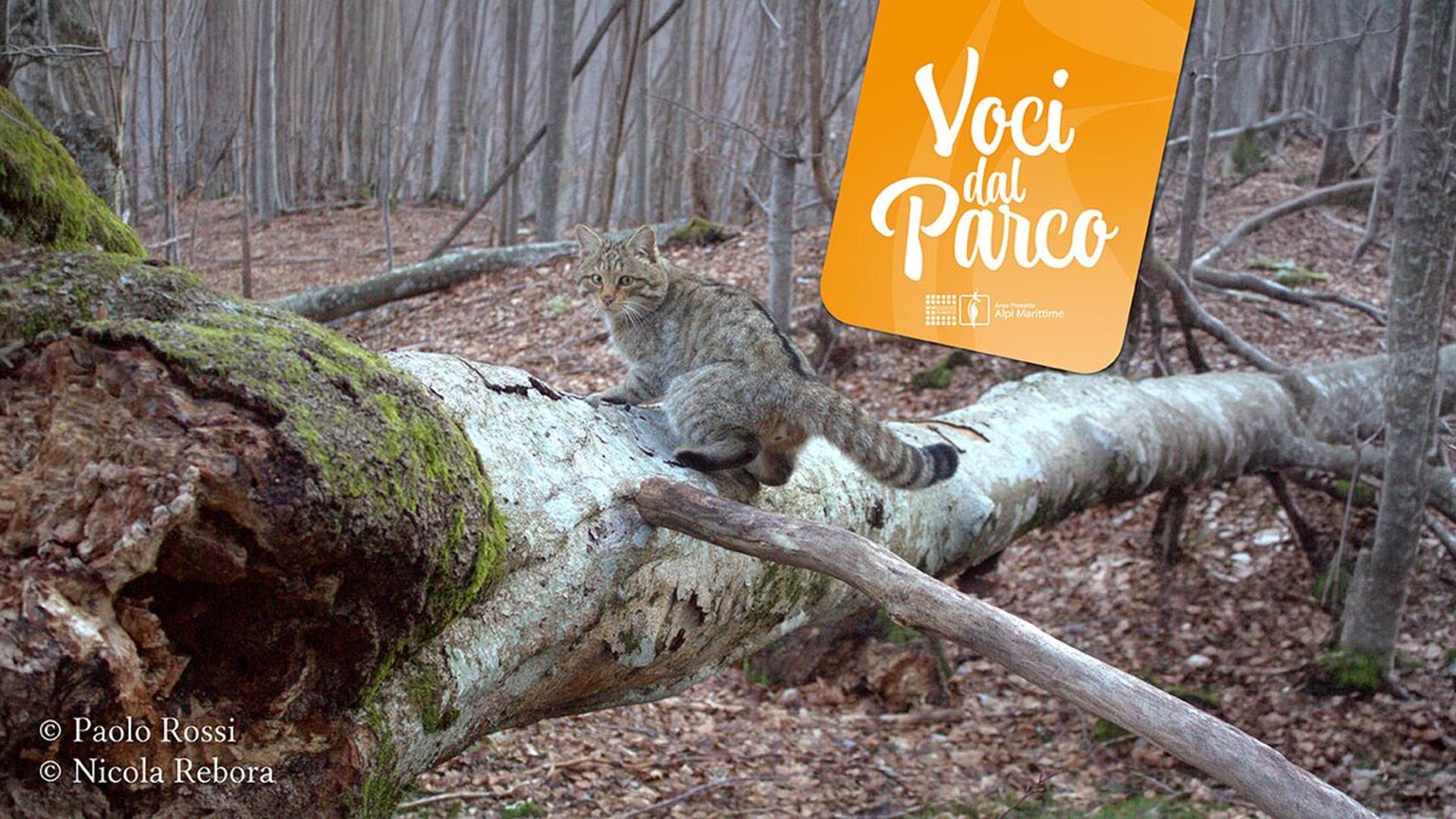 Foto di P. Rossi e N. Rebora