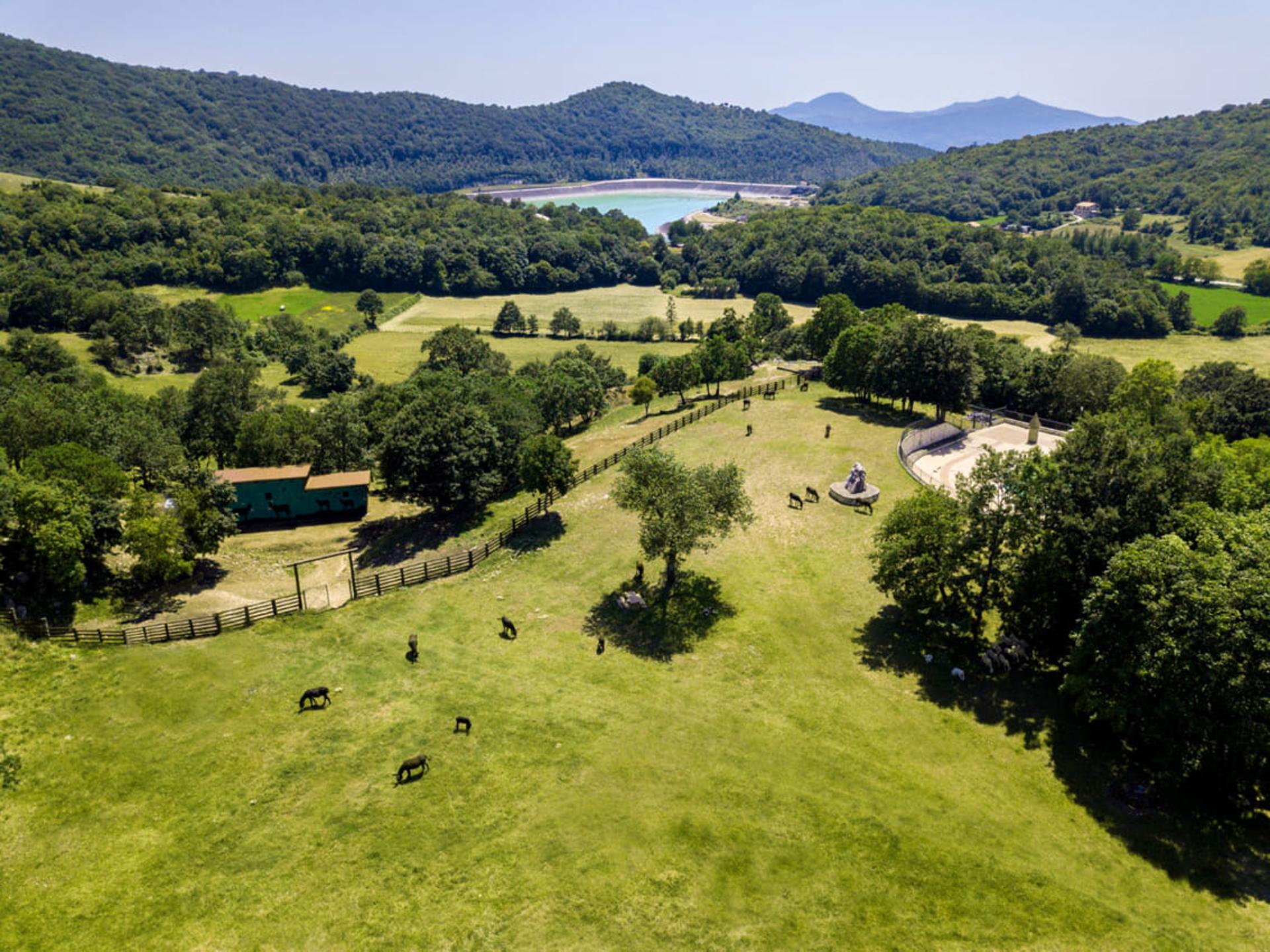 Villaggio Rurale Le Sette Querce