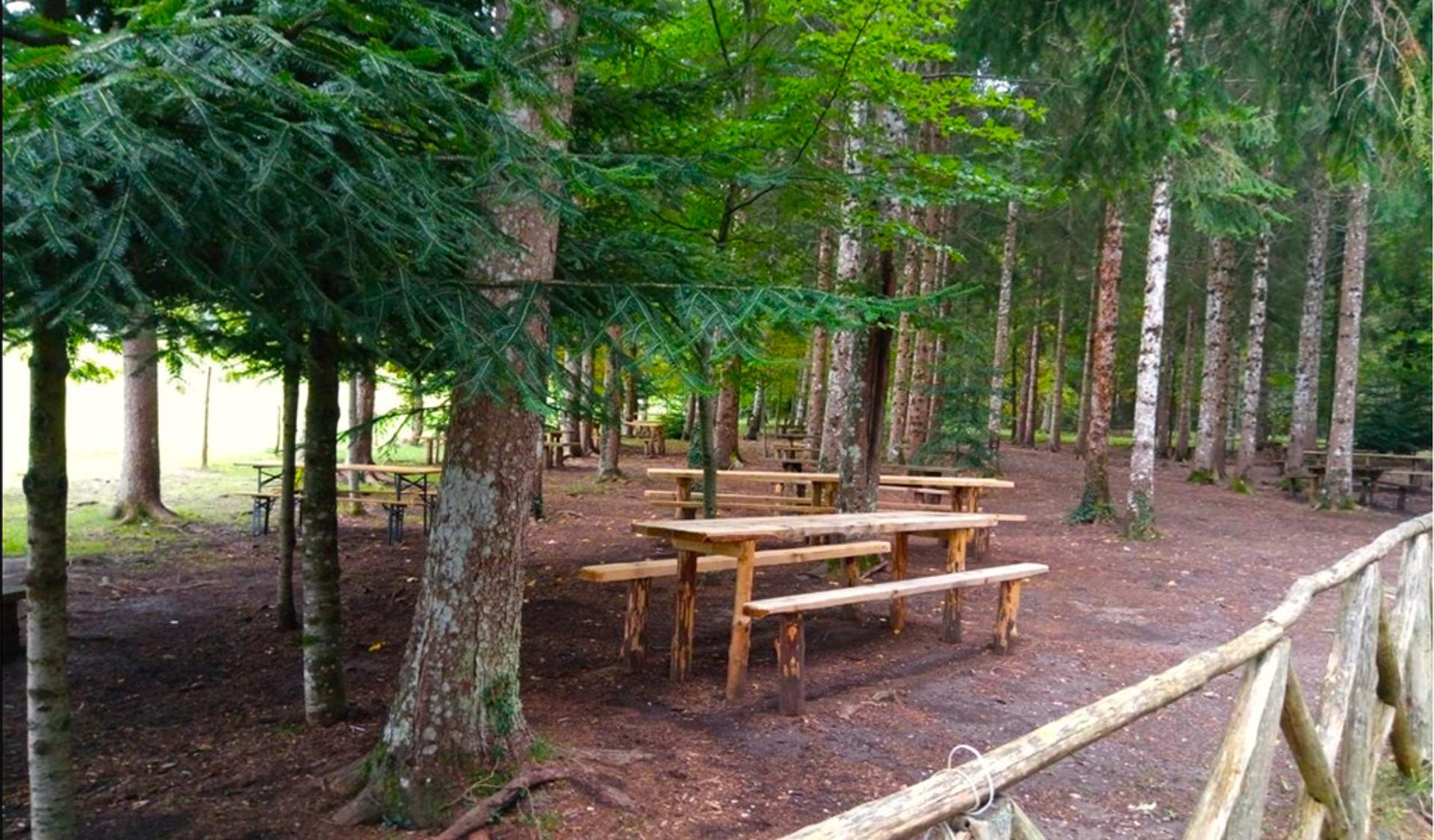 Riserva Naturale Orientata di Montedimezzo