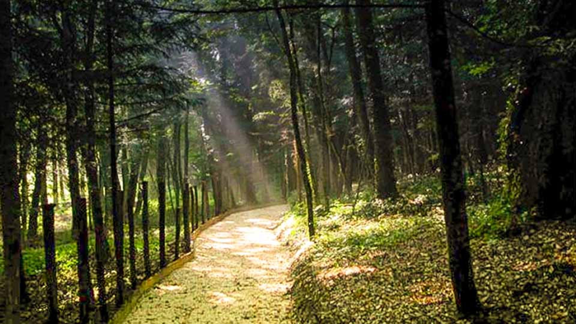 Riserva Naturale Orientata di Montedimezzo