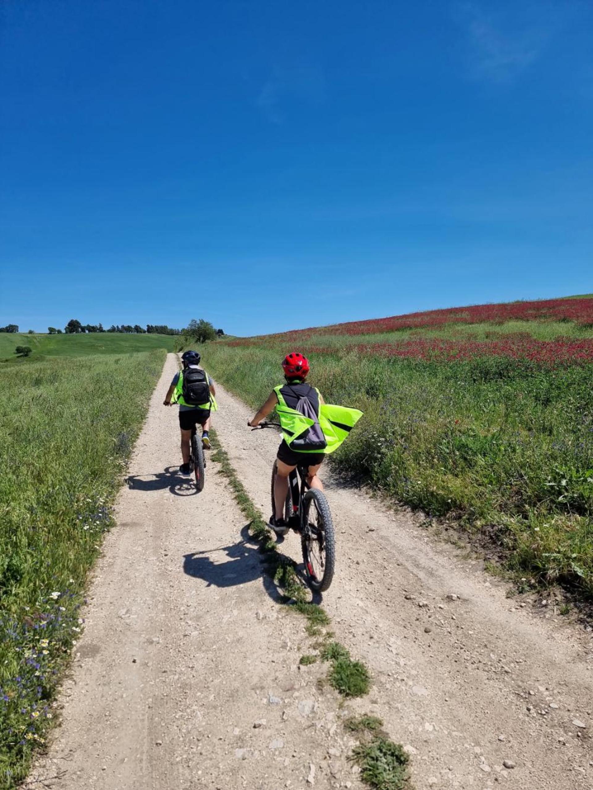 Ebike tours