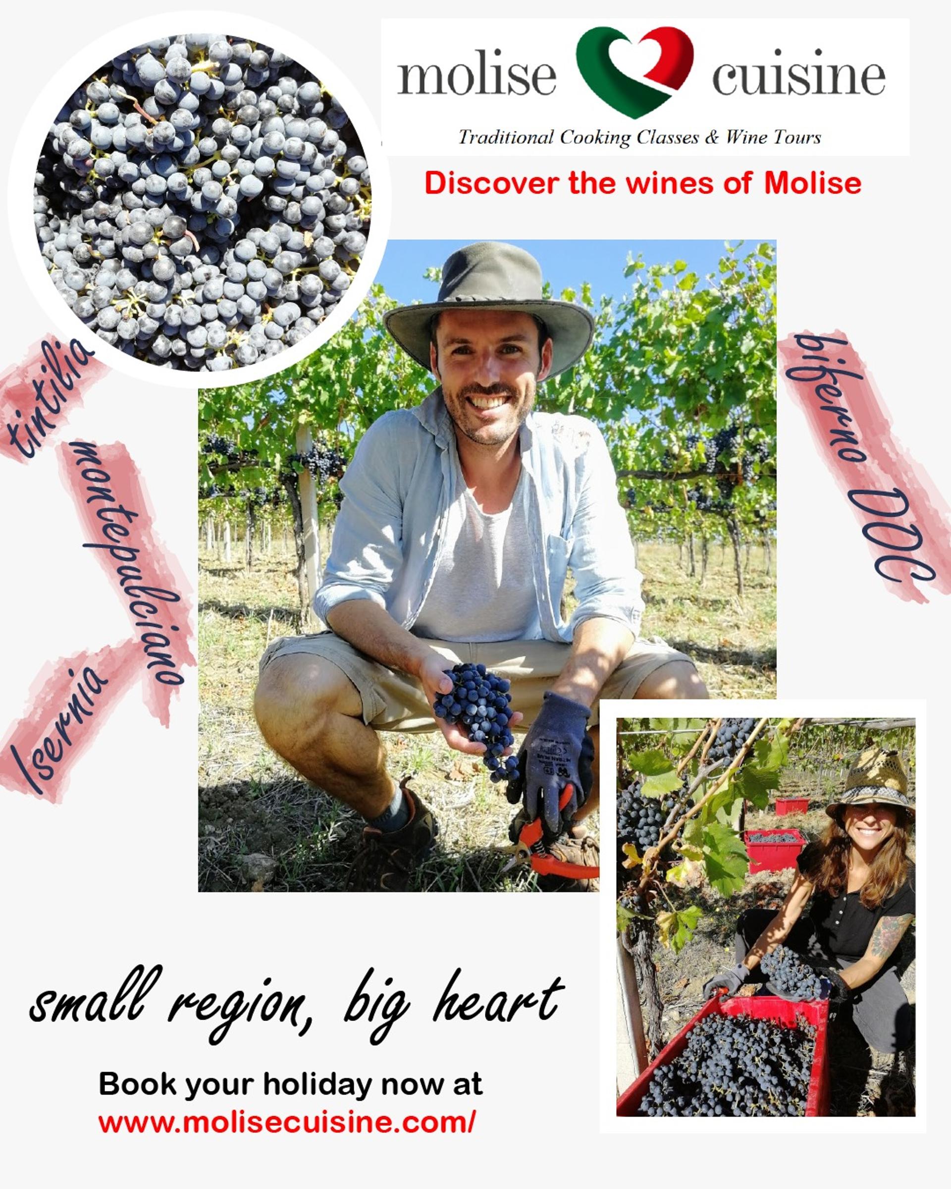 Molise Cuisine