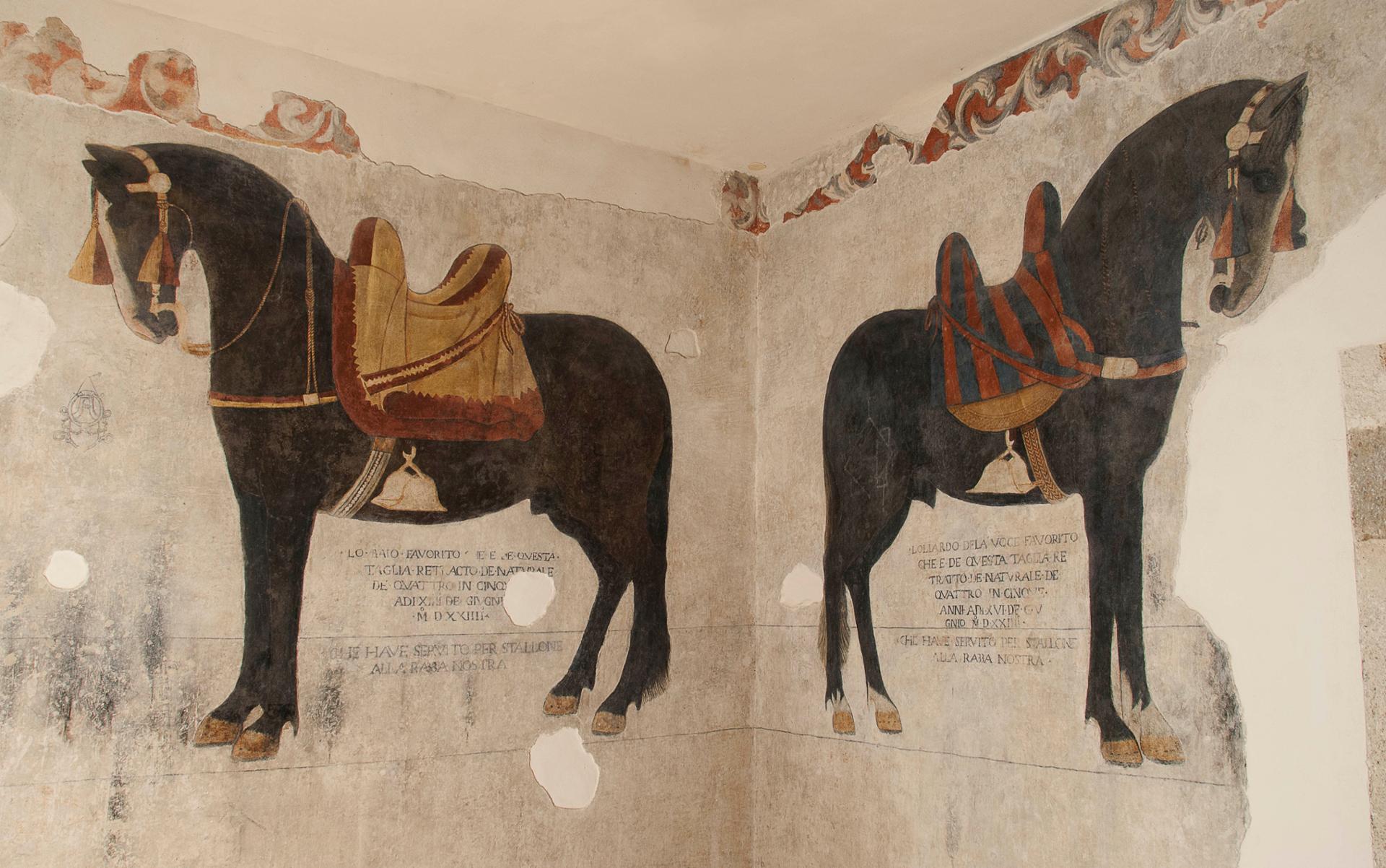 Direzione regionale Musei Molise