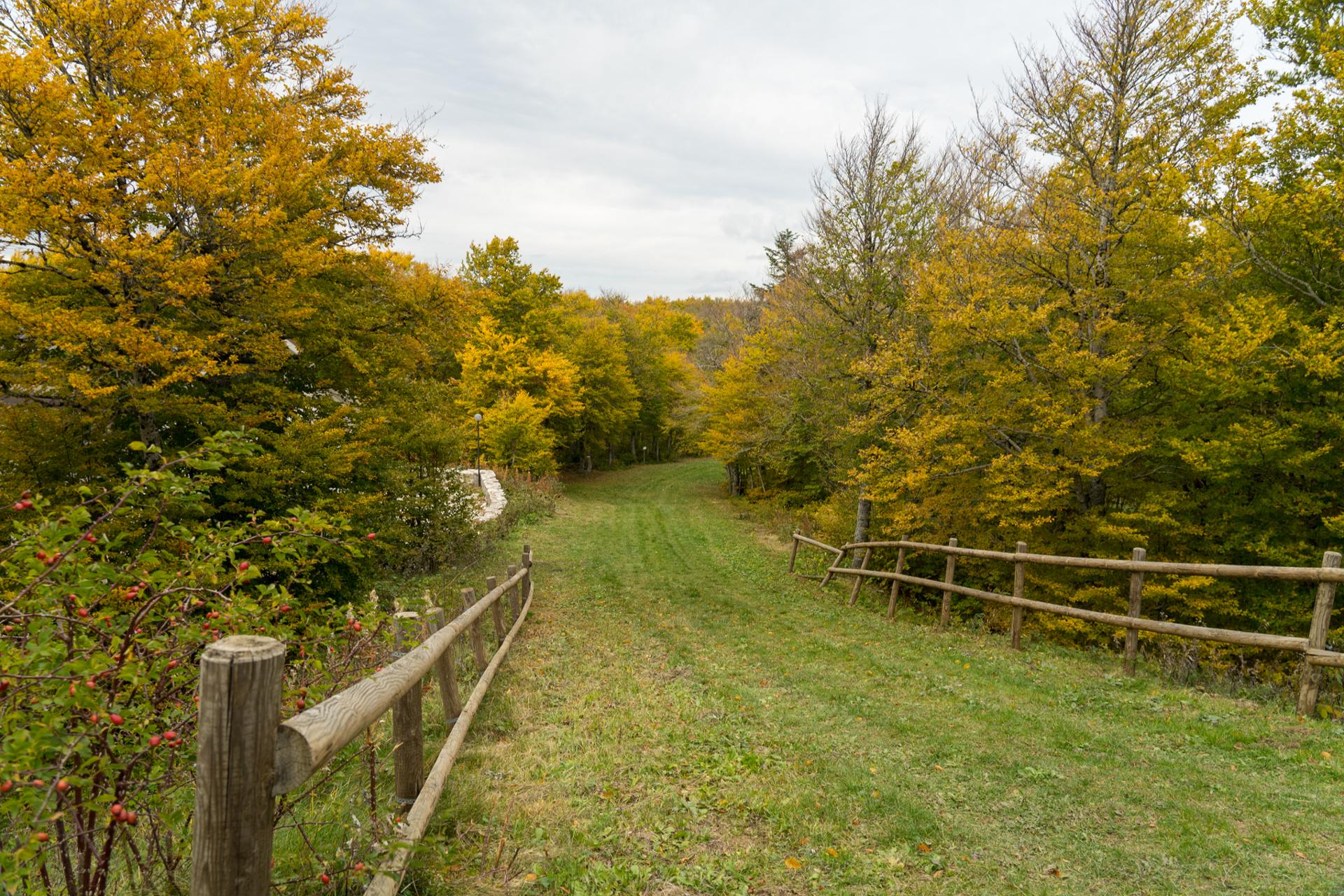 Parco Avventura capracotta