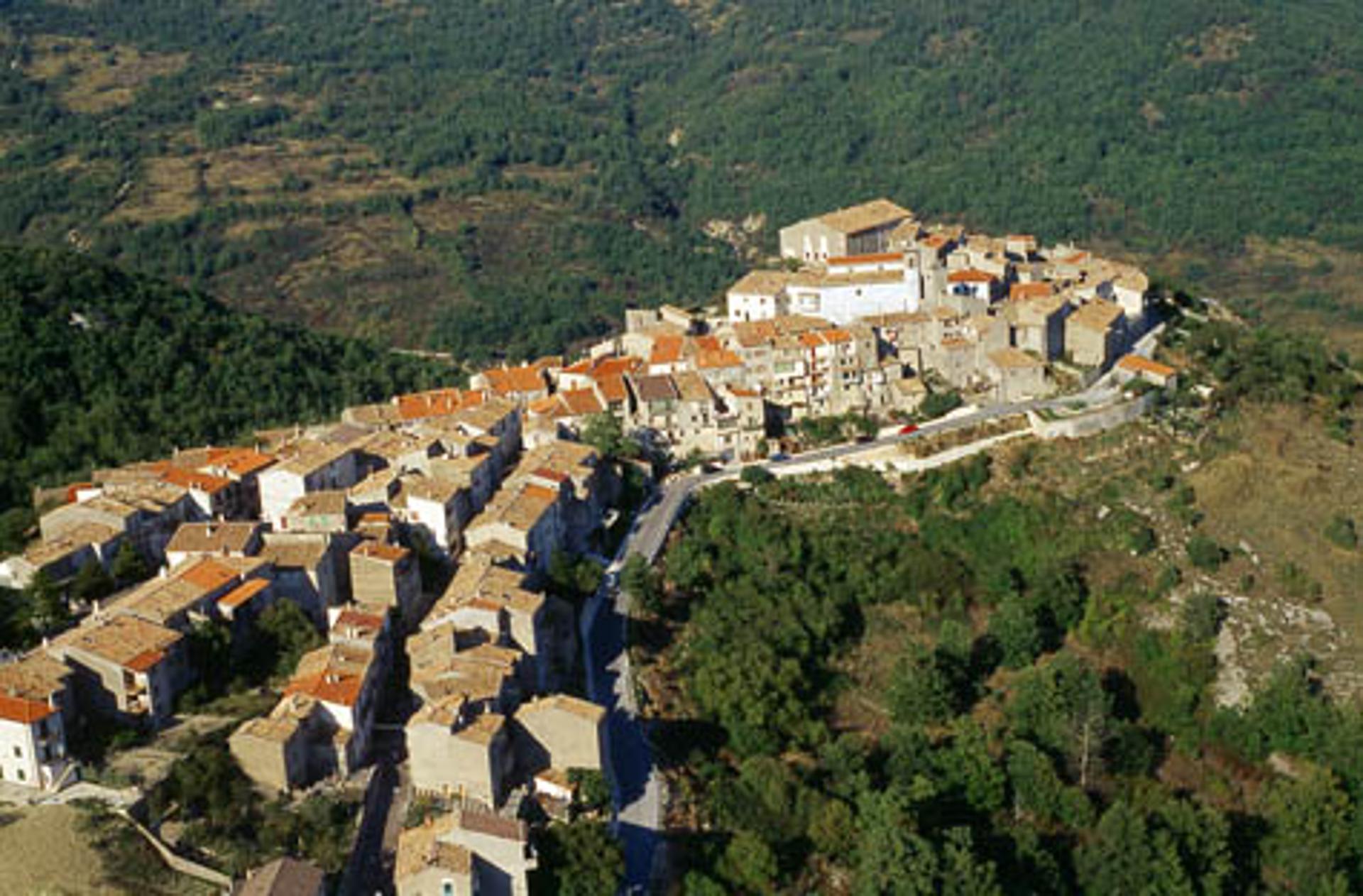 Chiauci
