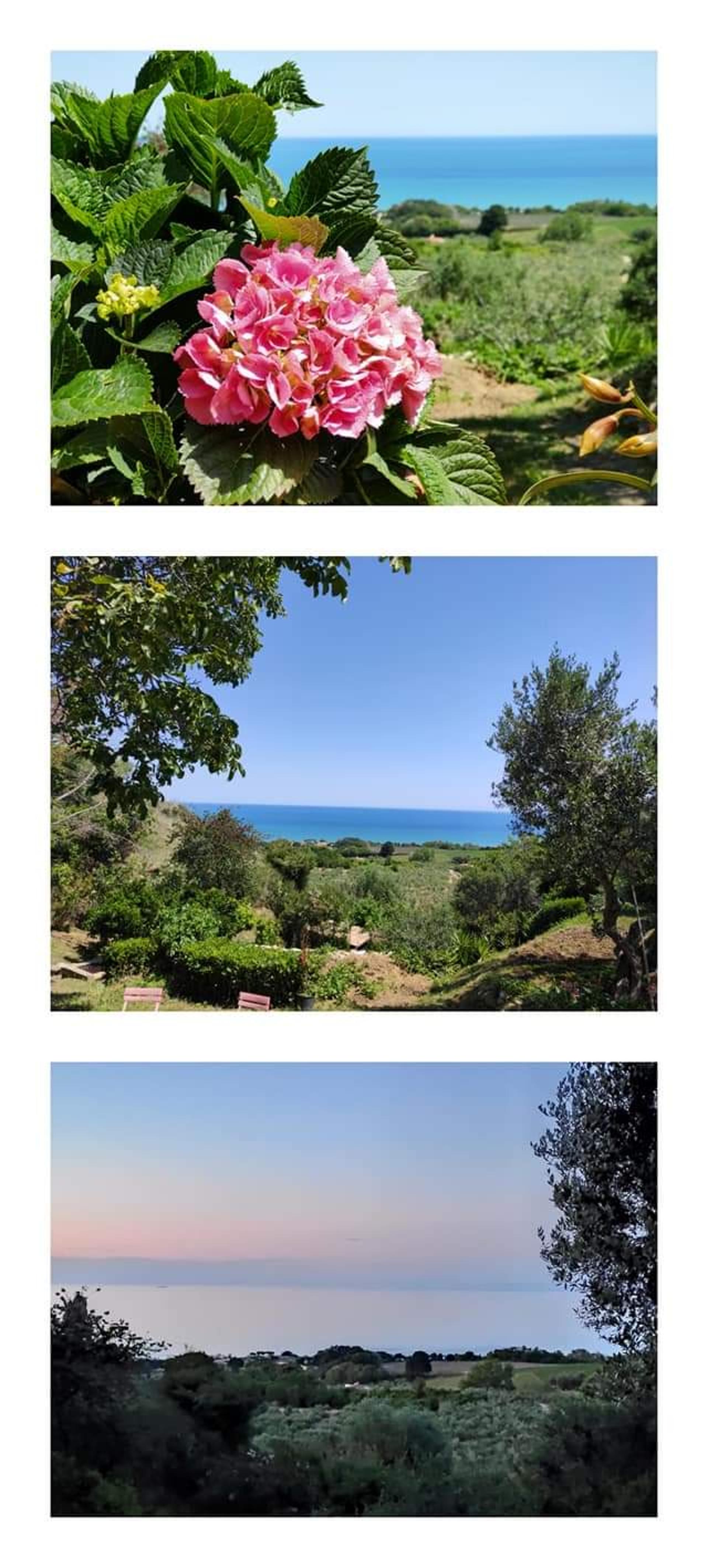 La terrazza sul mare