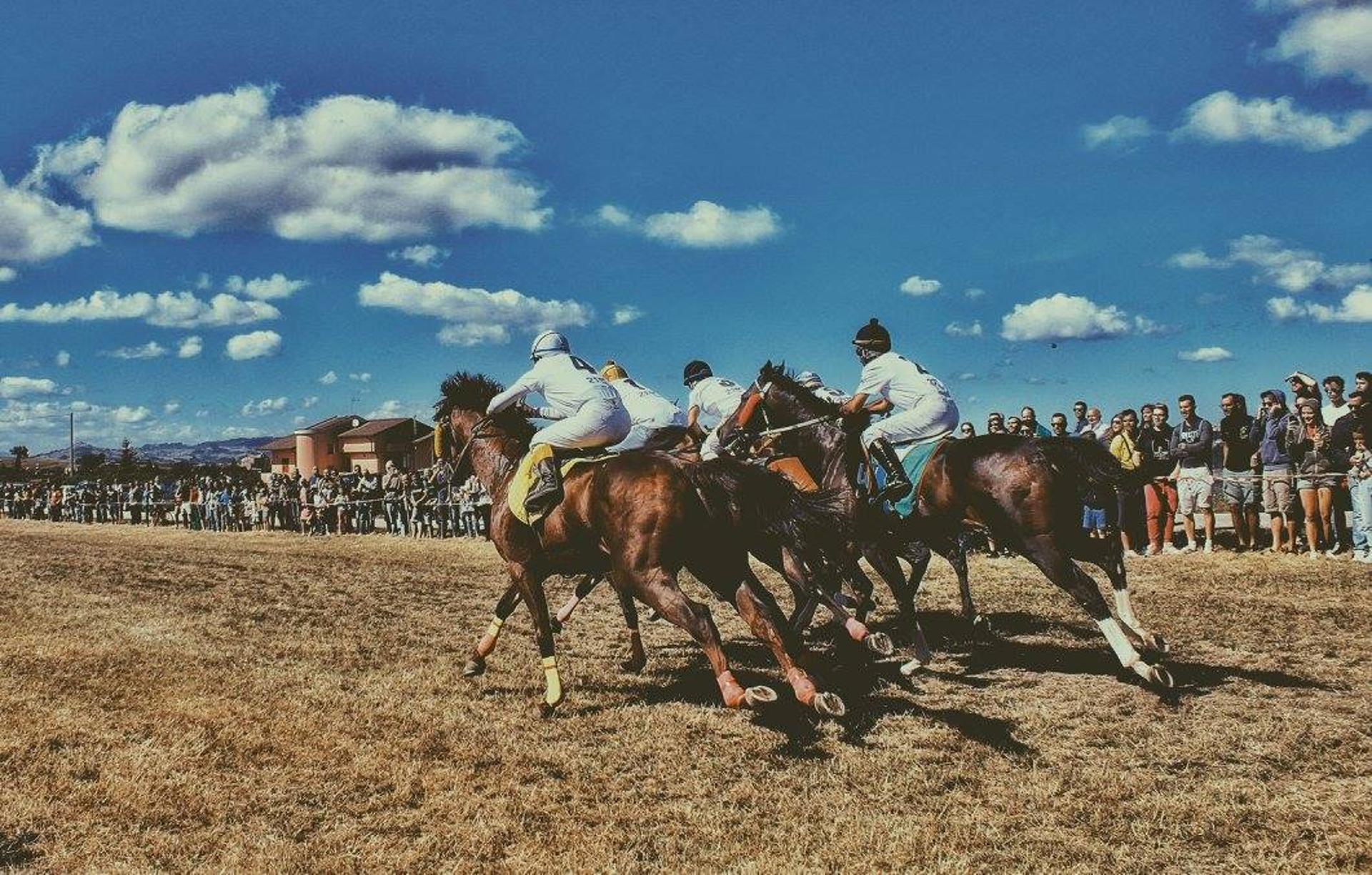 Palio delle Quercigliole