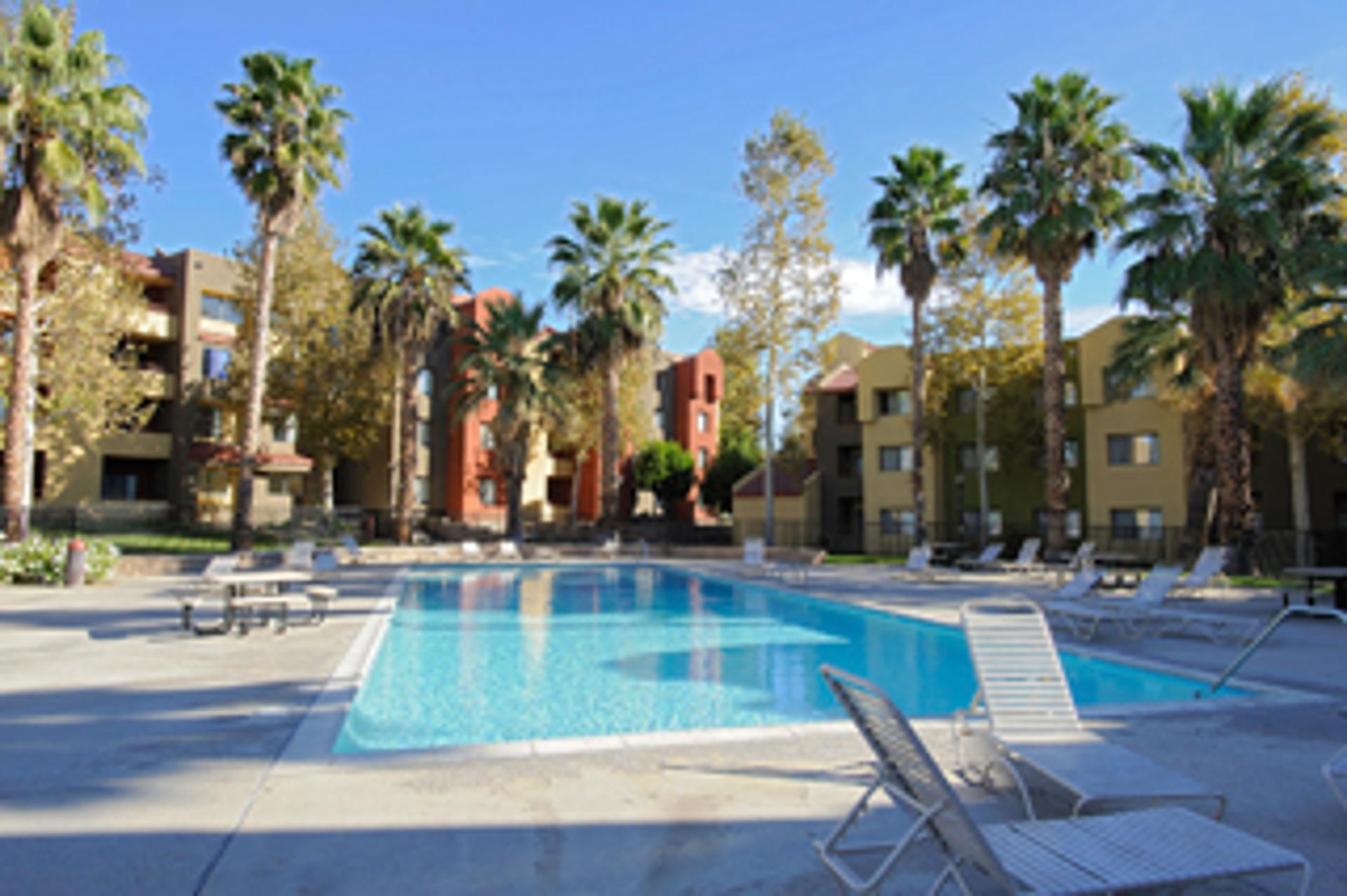 vacanza-studio-usa-los-angeles-zainetto-verde-california-state-university-nort-piscina.jpg