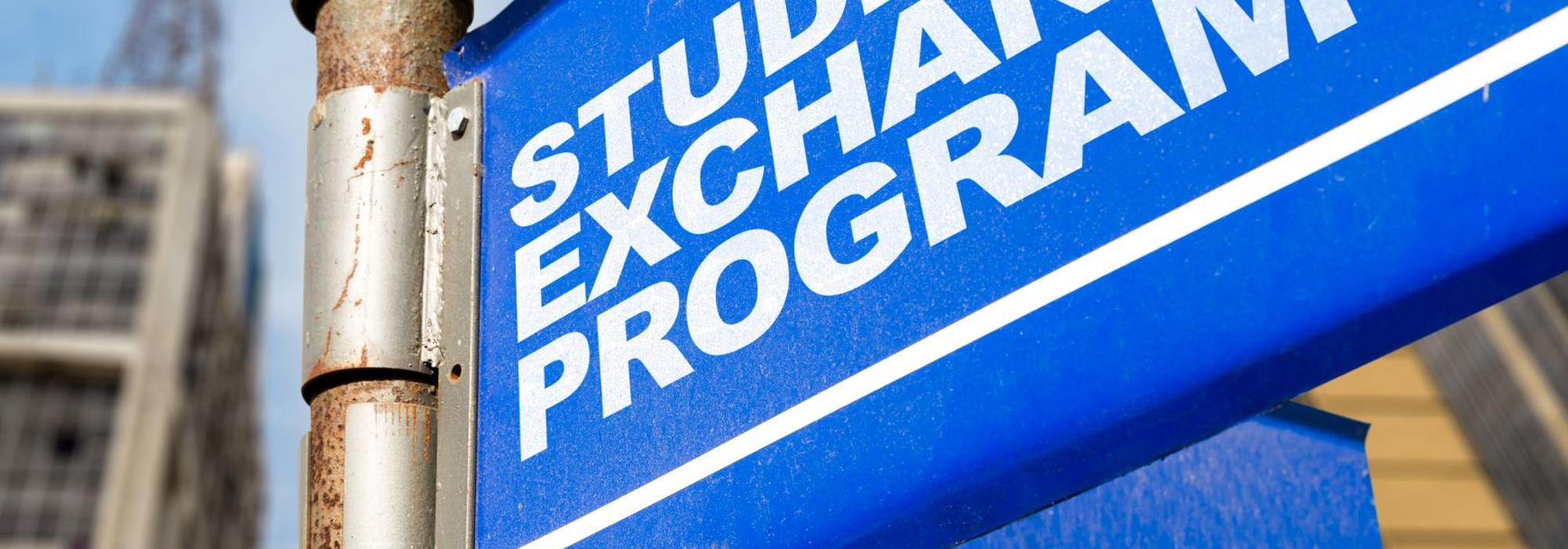 sconti e borse di studio anno all'estero