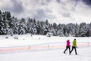 Escursione di snow trekking in Sila