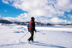 Escursione di snow trekking in Sila