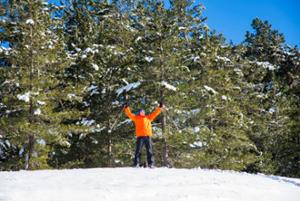 Escursione di snow trekking in Sila