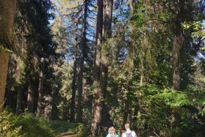 Arboreto del Parco