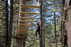 Parchi Avventura in Sila