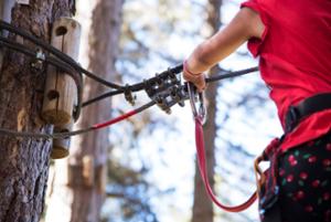 Parchi Avventura in Sila