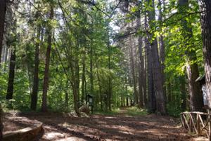 Arboreto del Parco