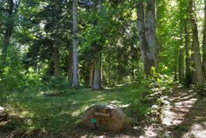 Arboreto del Parco