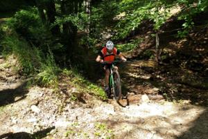 Escursione bike in Sila