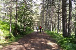 Escursione bike in Sila
