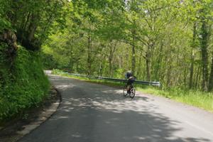 Strada delle Vette Sila