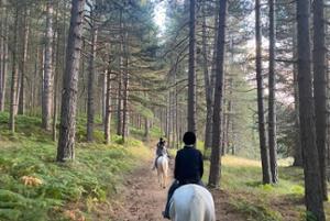 Passeggiata a cavallo_Sila