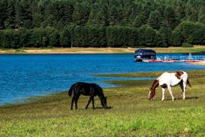 Lago, natura e benessere