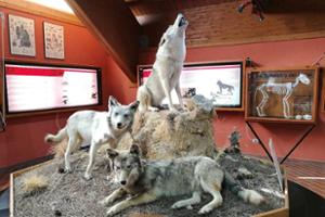 Museo Centro Visite Cupone