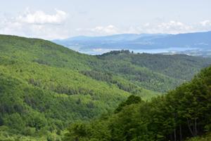 Vista panoramica sul Lago Arvo 