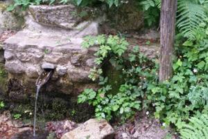 Natura Parco Nazionale della Sila