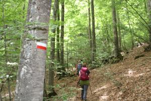 Trekking nel Parco Nazionale della Sila