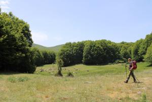 Trekking nel Parco Nazionale della Sila