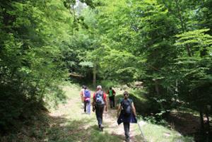 Trekking Centro Visita Cupone
