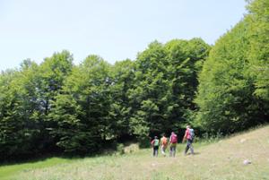 Escursione di trekking Centro Visita Cupone