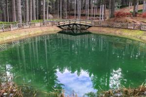 Riserva Biogenetica Poverella Parco Nazionale della Sila Villaggio Mancuso