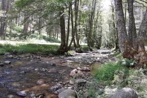 Riserva Biogenetica Poverella Parco Nazionale della Sila Villaggio Mancuso