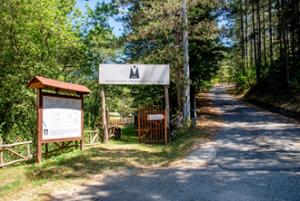 MABOS Museo d'Arte del Bosco della Sila