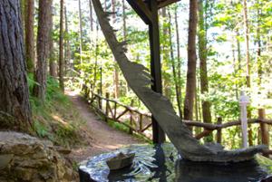 MABOS Museo d'Arte del Bosco della Sila