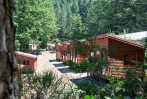 MABOS Museo d'Arte del Bosco della Sila