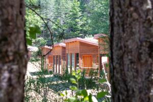 MABOS Museo d'Arte del Bosco della Sila