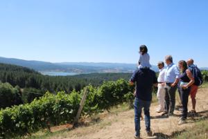 Vigneto più alto d'Europa Cava di Melis