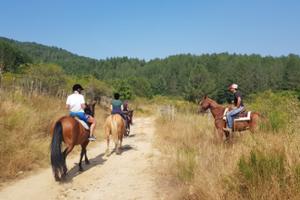 Escursione a cavallo nel Parco Nazionale della Sila
