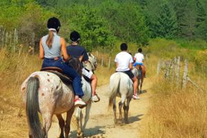 Escursione a cavallo nel Parco Nazionale della Sila