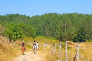 Escursione a cavallo nel Parco Nazionale della Sila