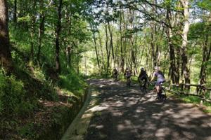 Escursione in e-bike nel Parco Nazionale della Sila