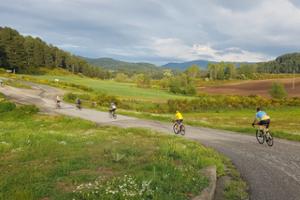 Escursione in e-bike nel Parco Nazionale della Sila